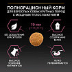 Сухой корм Pro Plan Large Robust для взрослых собак крупных пород, с лососем 18 кг